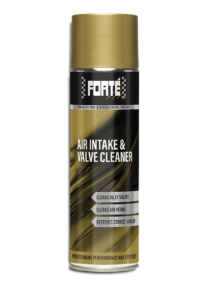 Air Intake and Valve Cleaner - czyści  dolot w silniku benzynowym